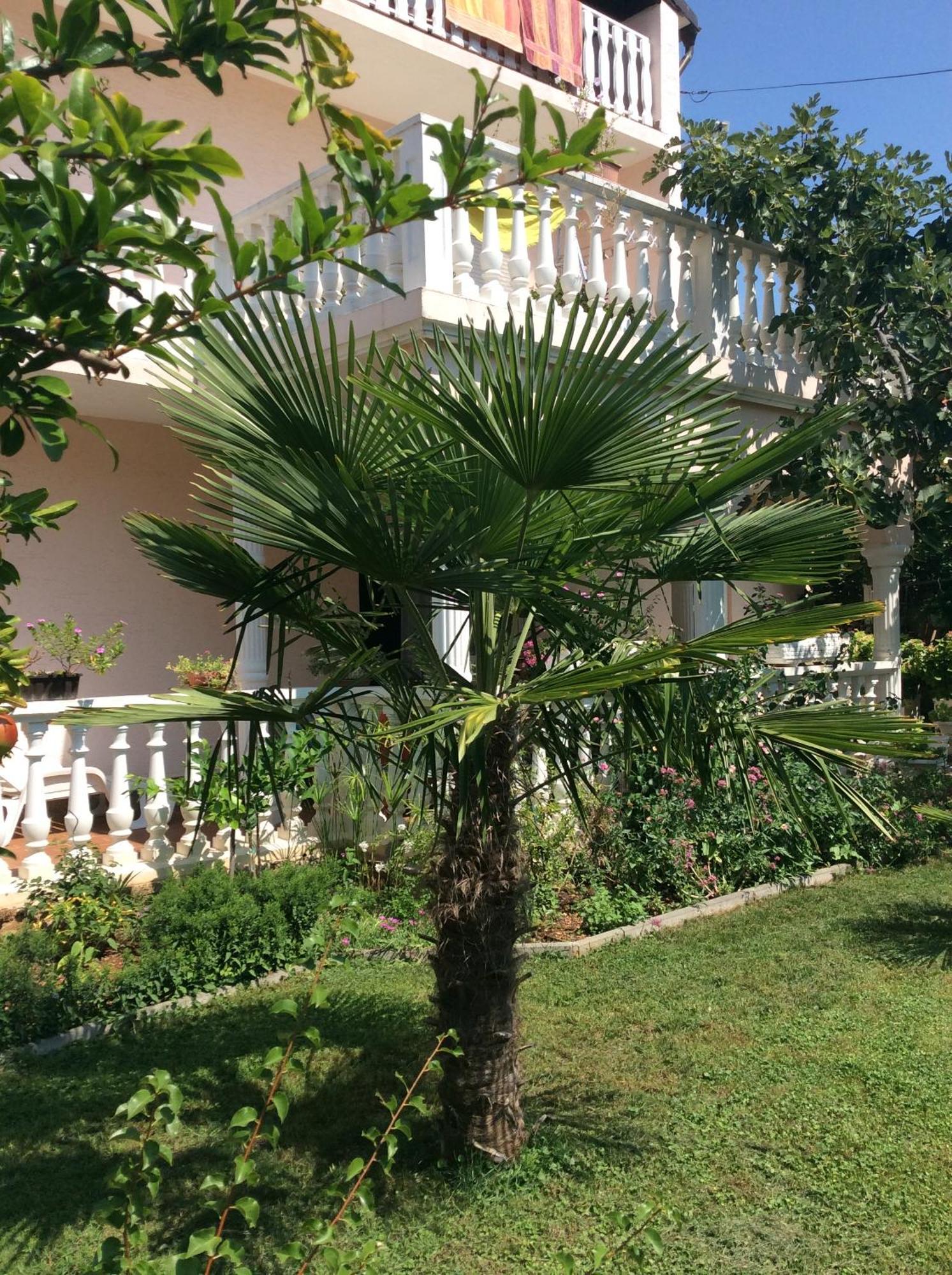 Villa Chiara Vodice Exterior photo